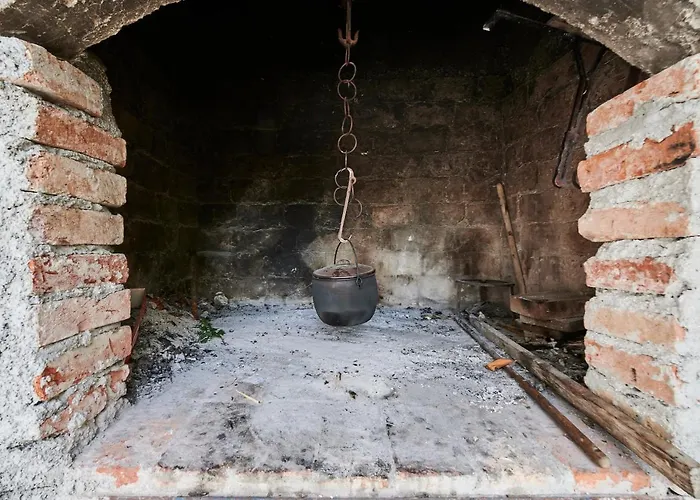 Cutan * 特罗吉尔